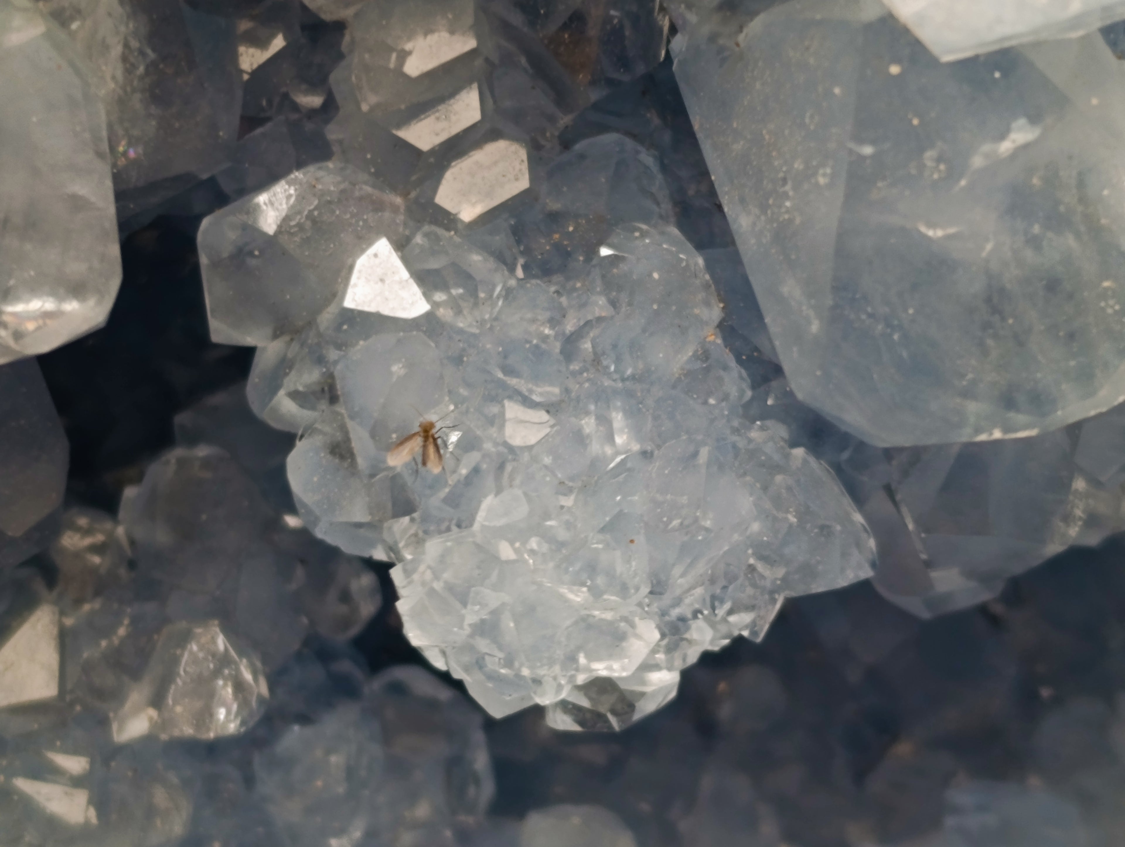 Natural Celestite Geode Specimen x 1 From Sakoany, Madagascar - Toprock Gemstones and Minerals 
