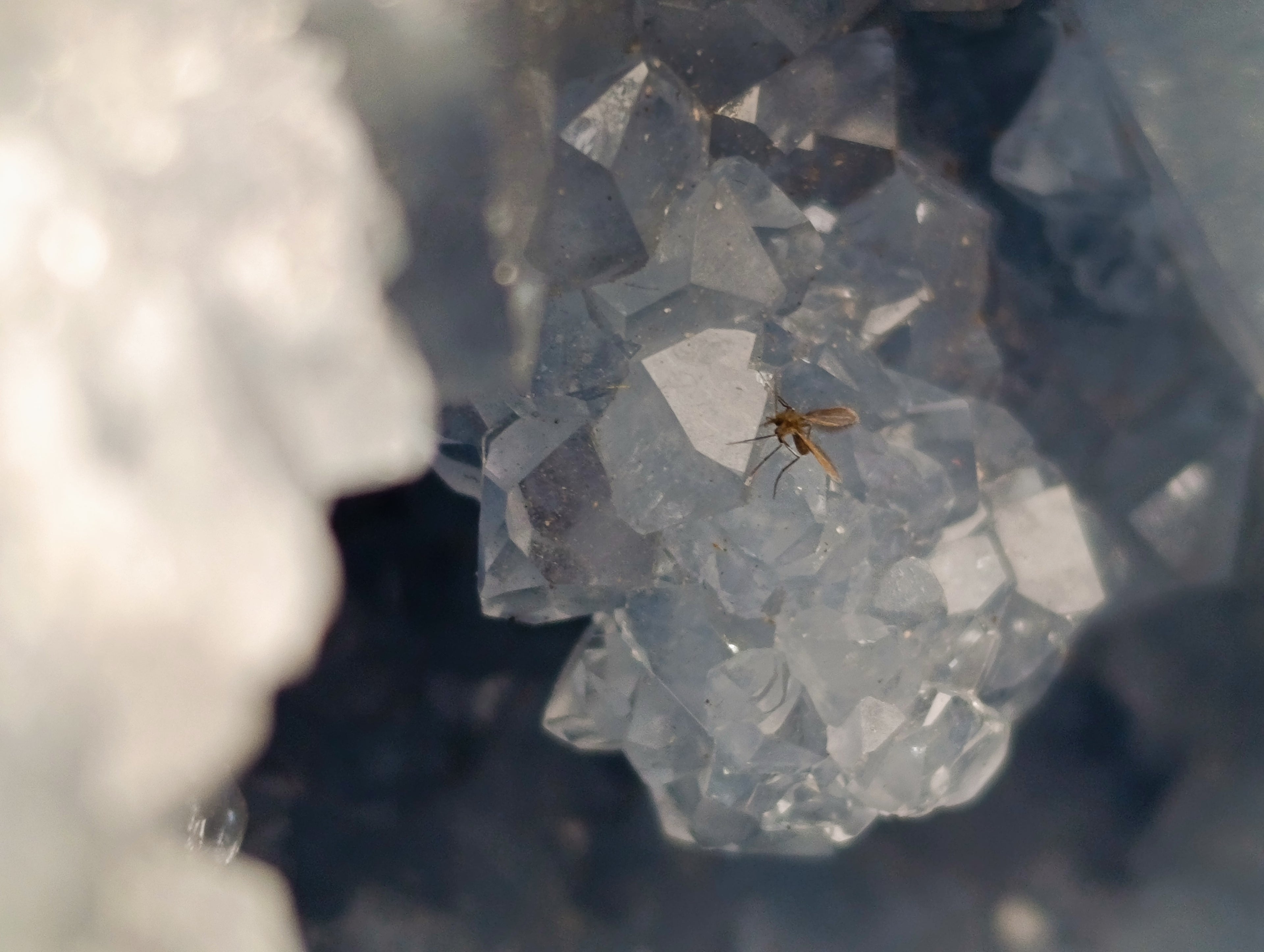 Natural Celestite Geode Specimen x 1 From Sakoany, Madagascar - Toprock Gemstones and Minerals 