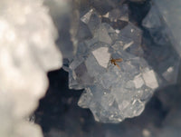 Natural Celestite Geode Specimen x 1 From Sakoany, Madagascar