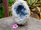 Natural Celestite Geode Specimen x 1 From Sakoany, Madagascar - Toprock Gemstones and Minerals 