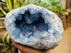 Natural Celestite Geode Specimen x 1 From Sakoany, Madagascar - Toprock Gemstones and Minerals 