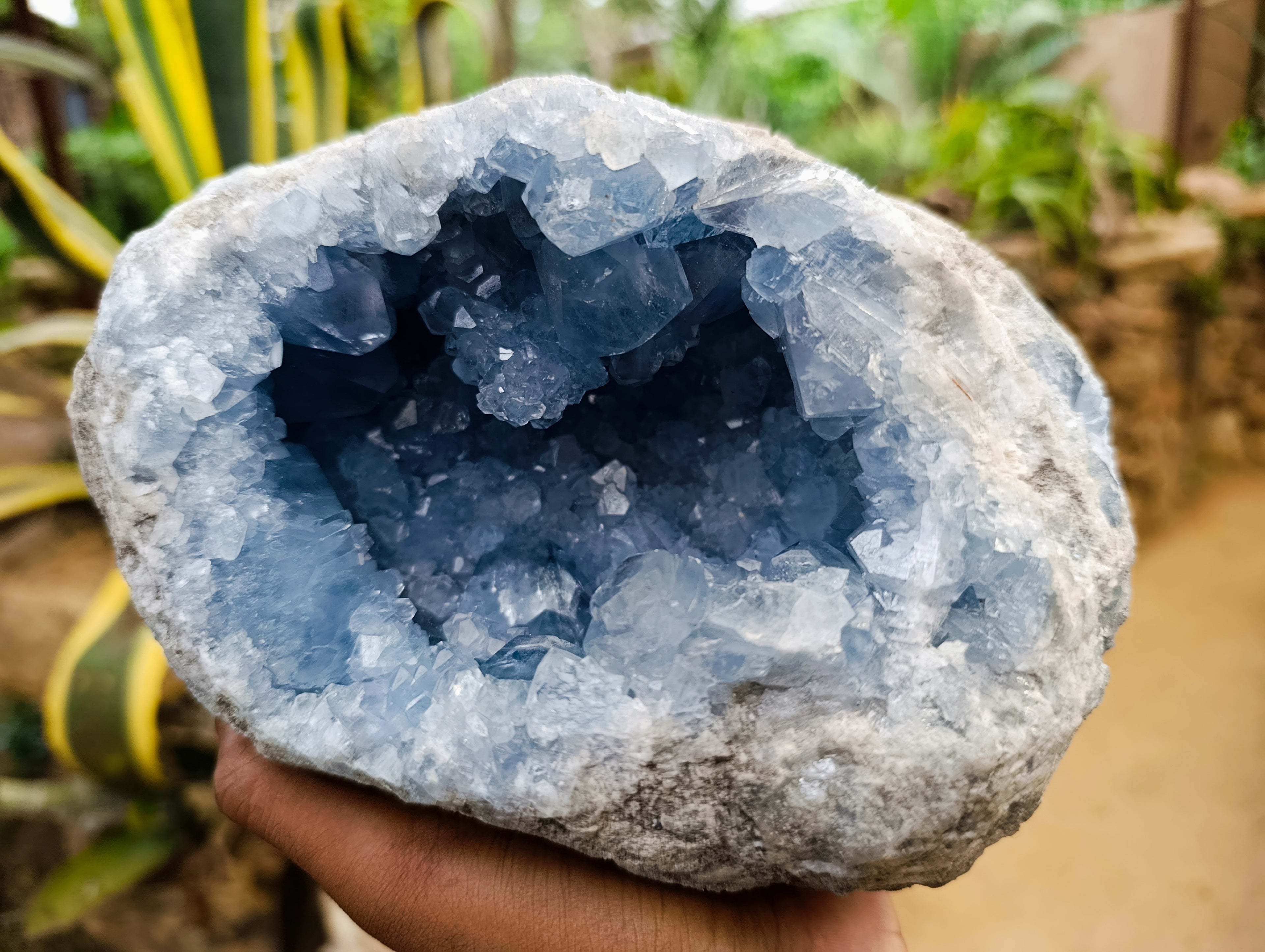 Natural Celestite Geode Specimen x 1 From Sakoany, Madagascar - Toprock Gemstones and Minerals 