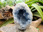 Natural Celestite Geode Specimen x 1 From Sakoany, Madagascar - Toprock Gemstones and Minerals 