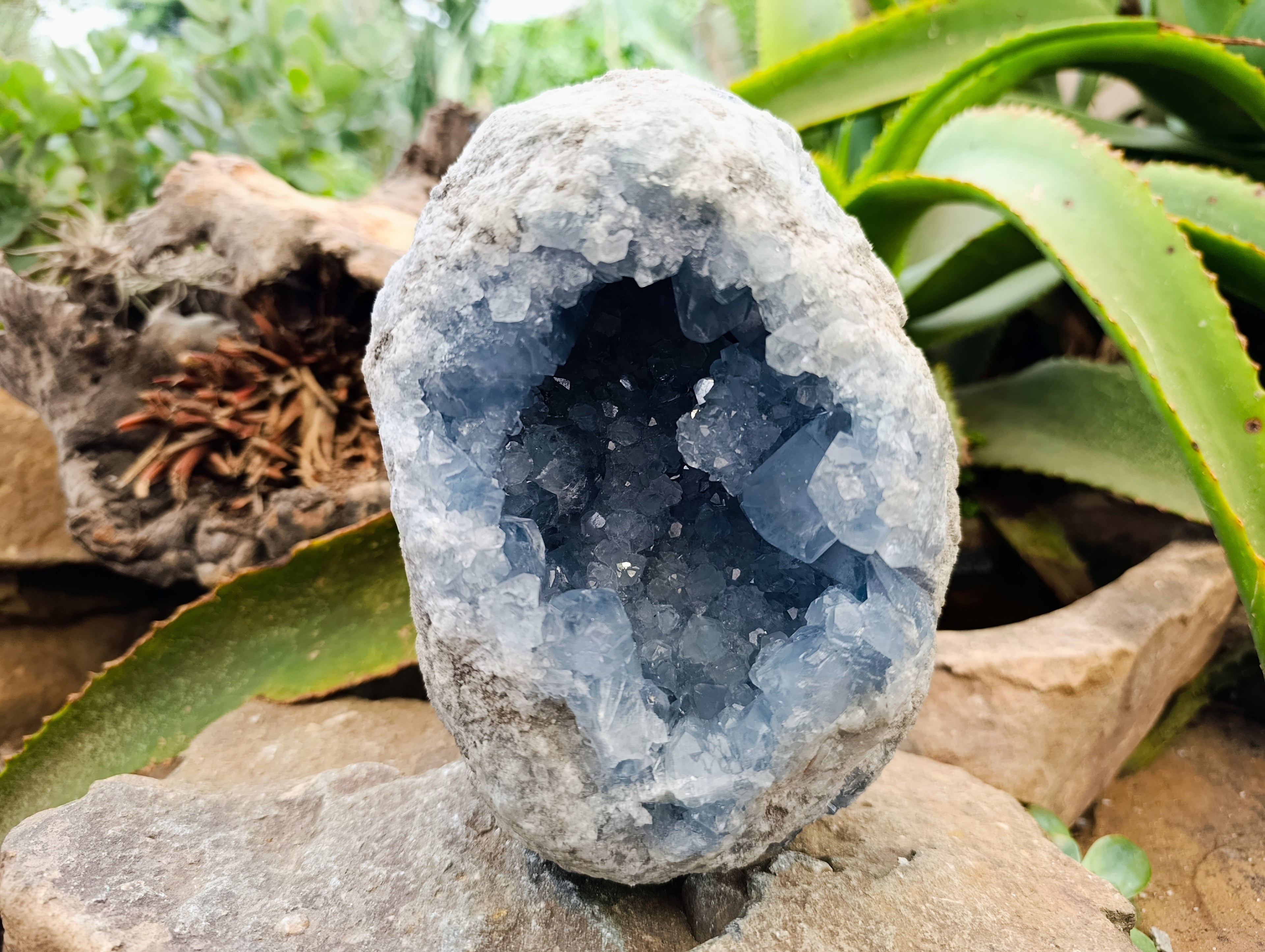 Natural Celestite Geode Specimen x 1 From Sakoany, Madagascar - Toprock Gemstones and Minerals 