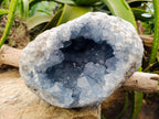 Natural Celestite Geode Specimen x 1 From Sakoany, Madagascar - Toprock Gemstones and Minerals 