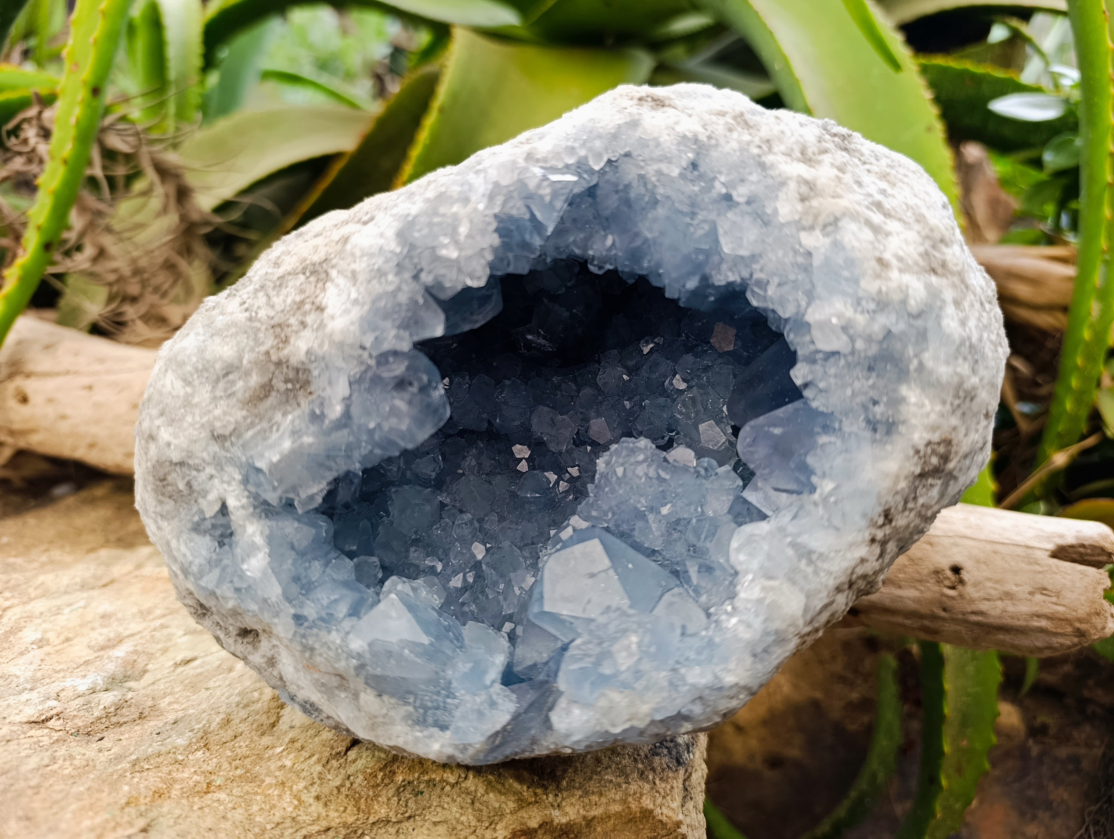 Natural Celestite Geode Specimen x 1 From Sakoany, Madagascar - Toprock Gemstones and Minerals 