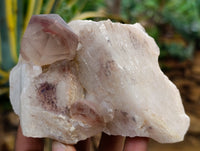 Natural Red Hematoid Quartz Clusters x 4 From Karoi, Zimbabwe - Toprock Gemstones and Minerals 