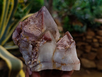 Natural Red Hematoid Quartz Clusters x 4 From Karoi, Zimbabwe - Toprock Gemstones and Minerals 