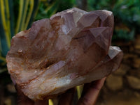 Natural Red Hematoid Quartz Clusters x 4 From Karoi, Zimbabwe - Toprock Gemstones and Minerals 