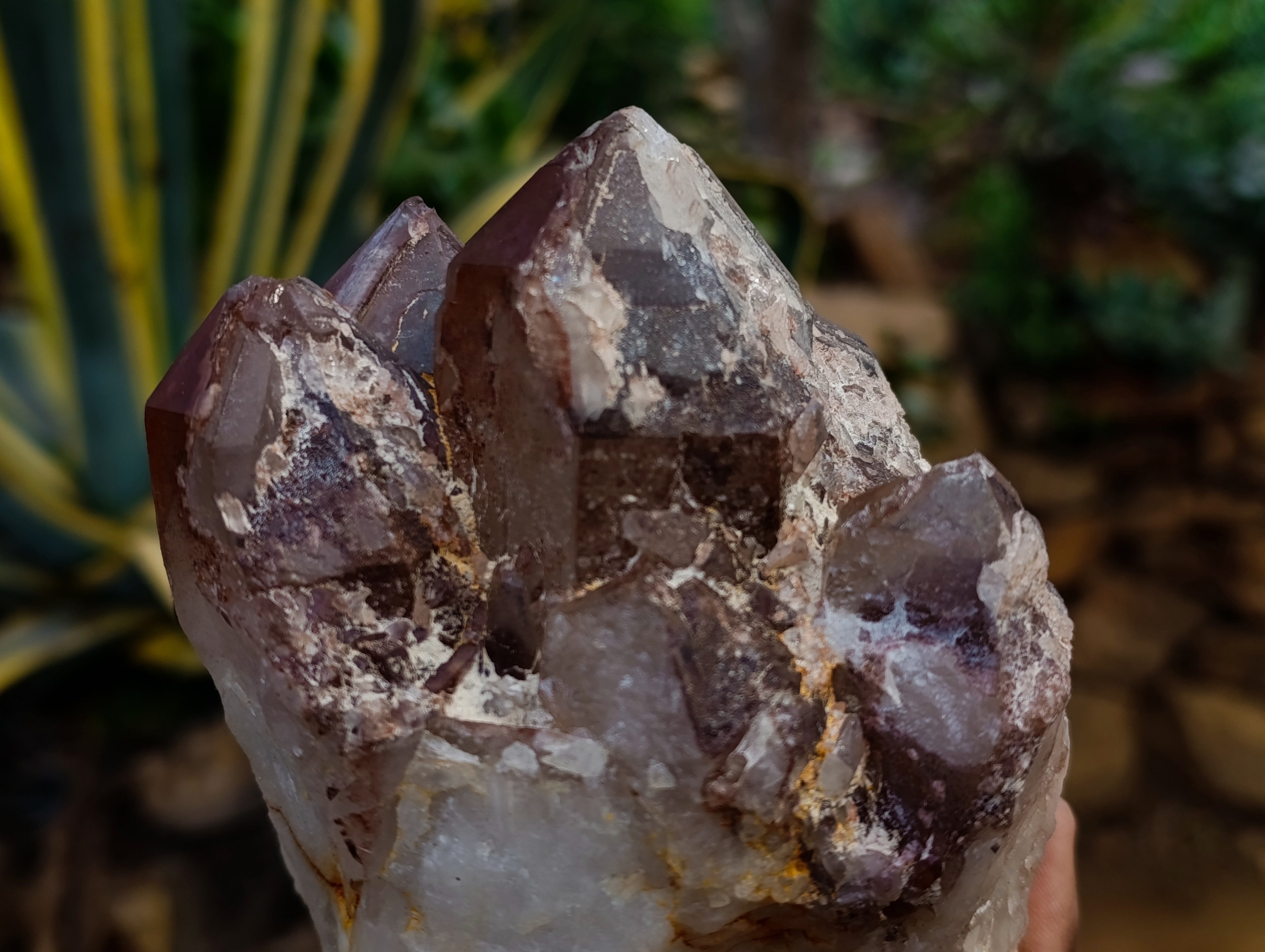 Natural Red Hematoid Quartz Clusters x 4 From Karoi, Zimbabwe - Toprock Gemstones and Minerals 