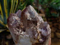 Natural Red Hematoid Quartz Clusters x 4 From Karoi, Zimbabwe - Toprock Gemstones and Minerals 