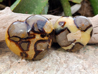 Polished Septerye Hearts x 6 From Mahajanga, Madagascar
