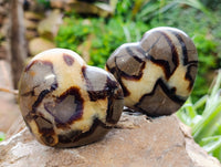 Polished Septerye Hearts x 6 From Mahajanga, Madagascar