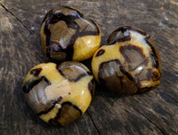 Polished Septerye Hearts x 6 From Mahajanga, Madagascar