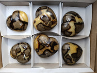 Polished Septerye Hearts x 6 From Mahajanga, Madagascar