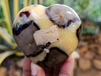 Polished Septerye Hearts x 6 From Mahajanga, Madagascar