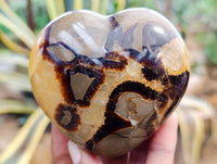 Polished Septerye Hearts x 6 From Mahajanga, Madagascar