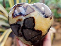 Polished Septerye Hearts x 6 From Mahajanga, Madagascar