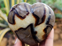 Polished Septerye Hearts x 6 From Mahajanga, Madagascar