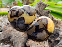 Polished Septerye Hearts x 6 From Mahajanga, Madagascar