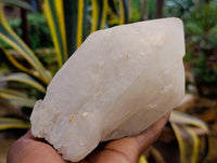 Natural Quartz Crystals x 4 From Madagascar