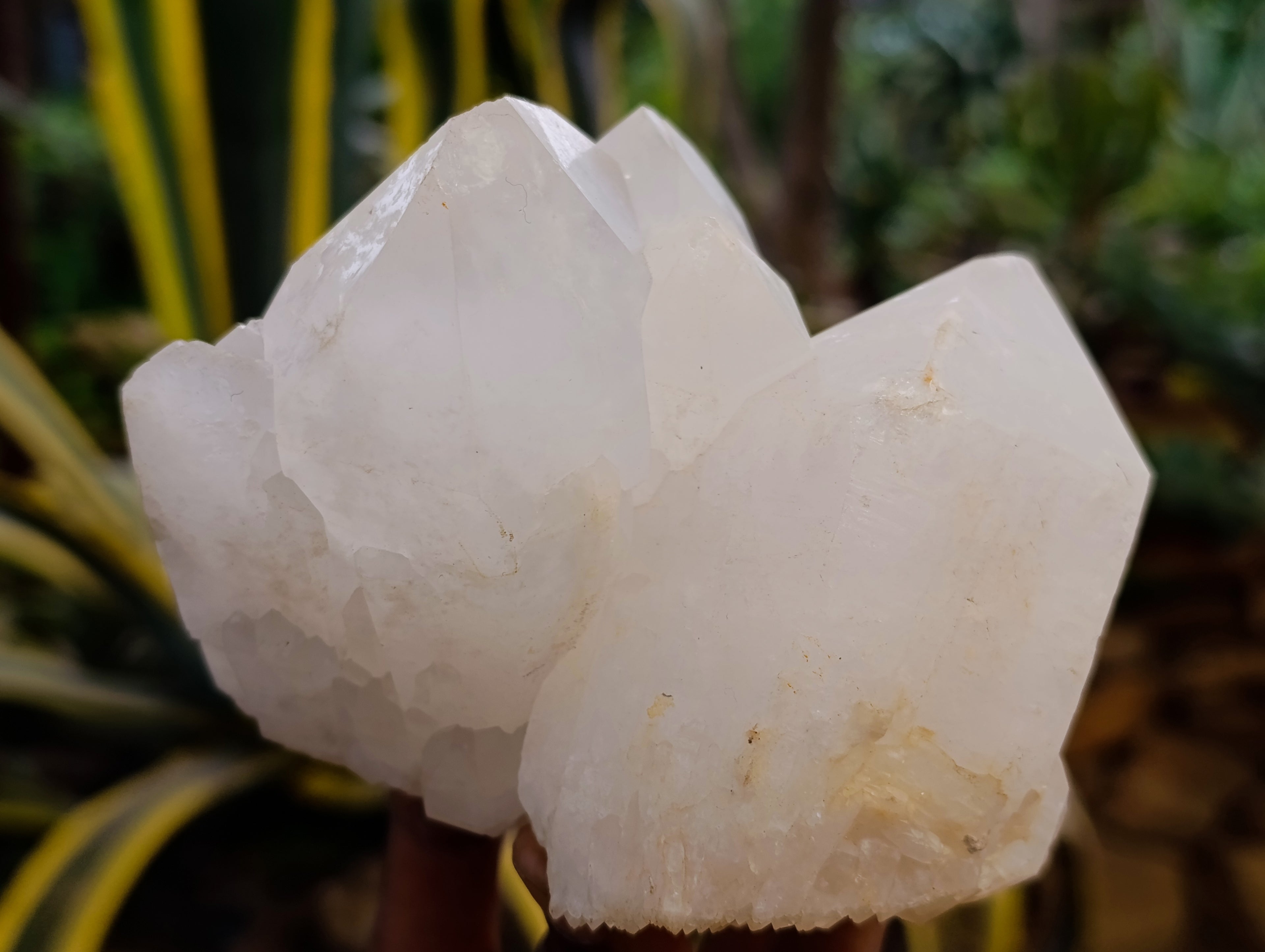 Natural Quartz Crystals x 4 From Madagascar - Toprock Gemstones and Minerals 