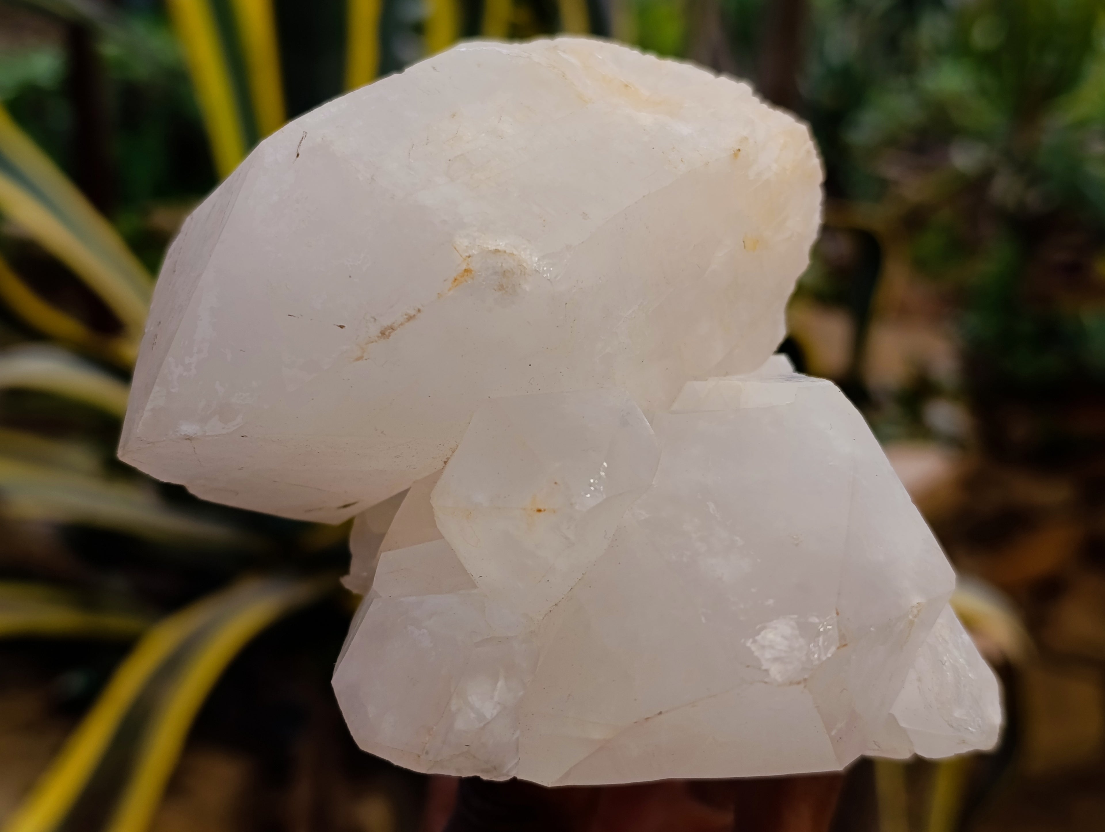 Natural Quartz Crystals x 4 From Madagascar - Toprock Gemstones and Minerals 