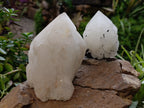 Natural Quartz Crystals x 4 From Madagascar - Toprock Gemstones and Minerals 