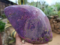 Polished Stichtite Standing Free Forms x 2 From Barberton, South Africa