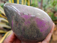 Polished Stichtite Standing Free Forms x 2 From Barberton, South Africa