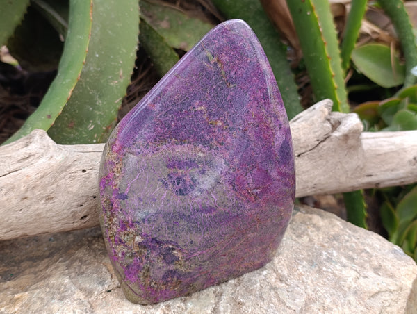 Polished Stichtite Standing Free Forms x 2 From Barberton, South Africa