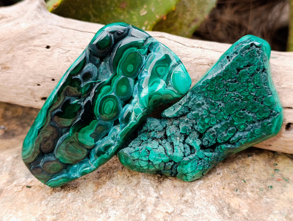 Polished Flower Banded Malachite Free Forms x 6 From Congo - Toprock Gemstones and Minerals 