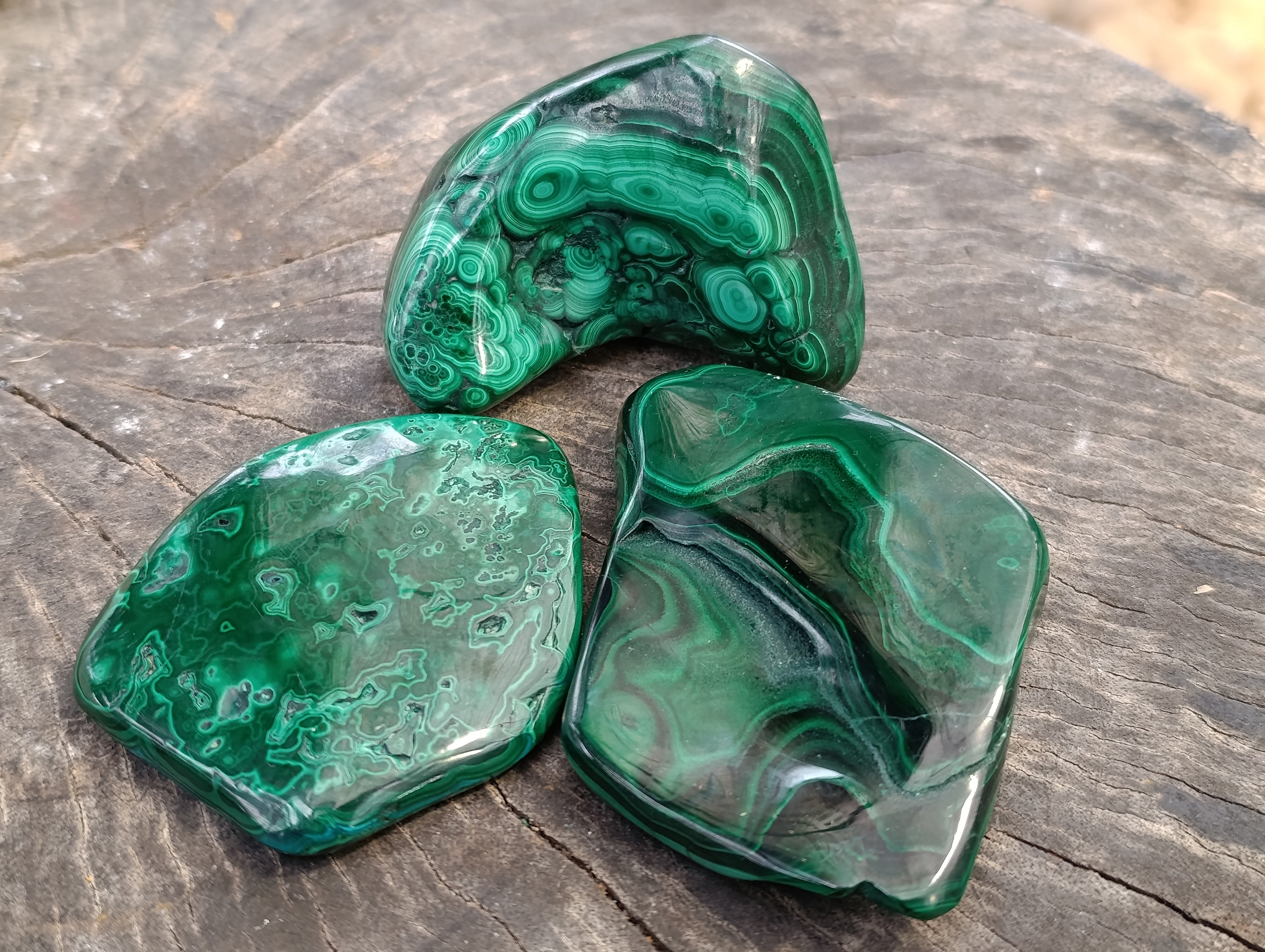 Polished Flower Banded Malachite Free Forms x 6 From Congo - Toprock Gemstones and Minerals 