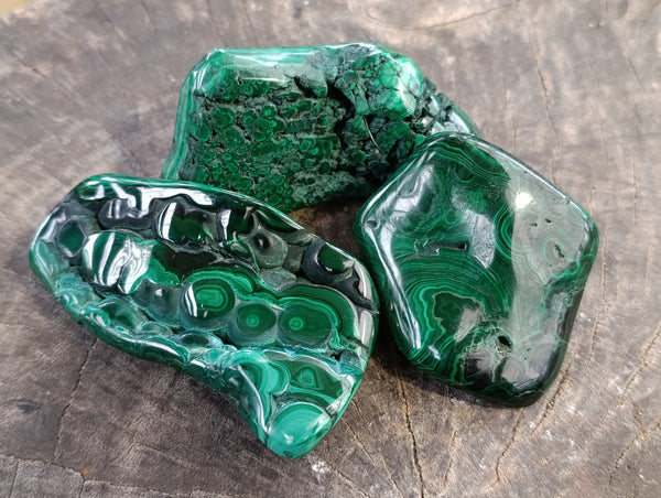 Polished Flower Banded Malachite Free Forms x 6 From Congo