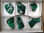 Polished Flower Banded Malachite Free Forms x 6 From Congo - Toprock Gemstones and Minerals 