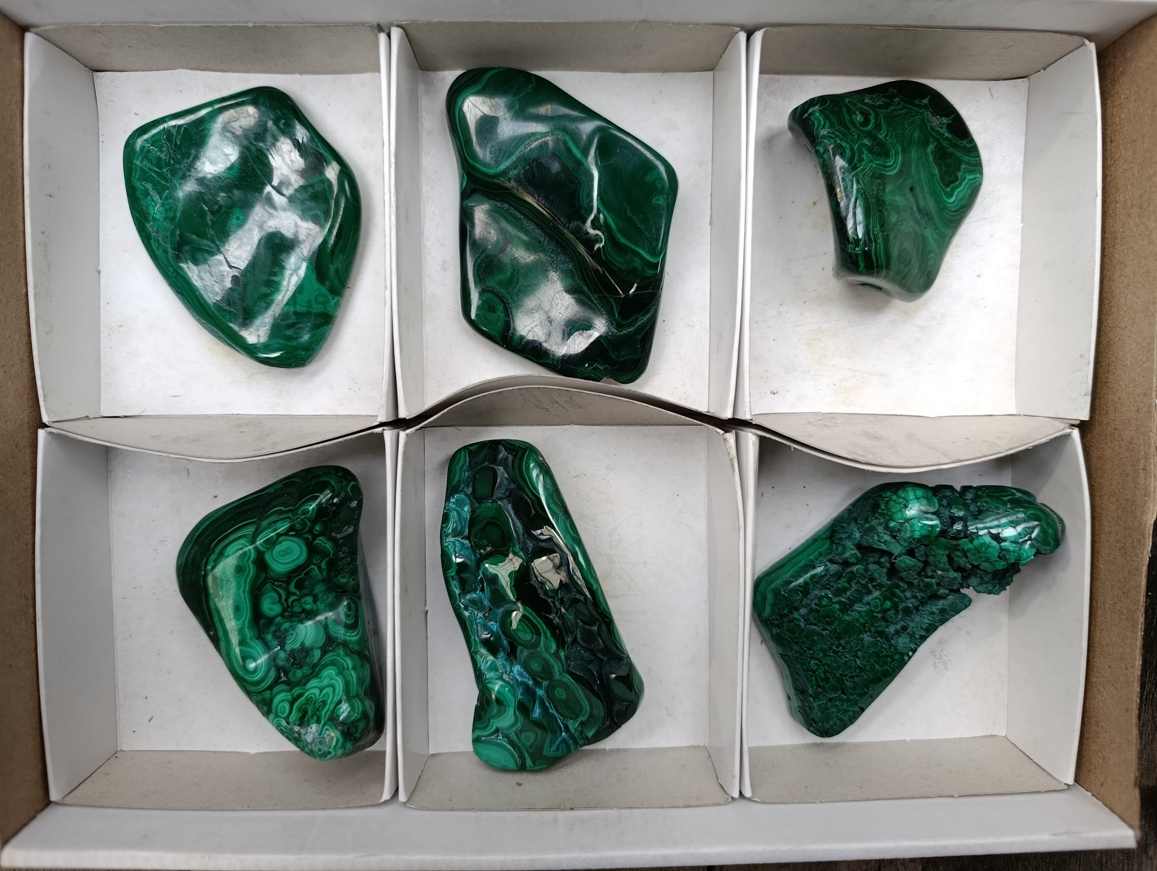 Polished Flower Banded Malachite Free Forms x 6 From Congo - Toprock Gemstones and Minerals 