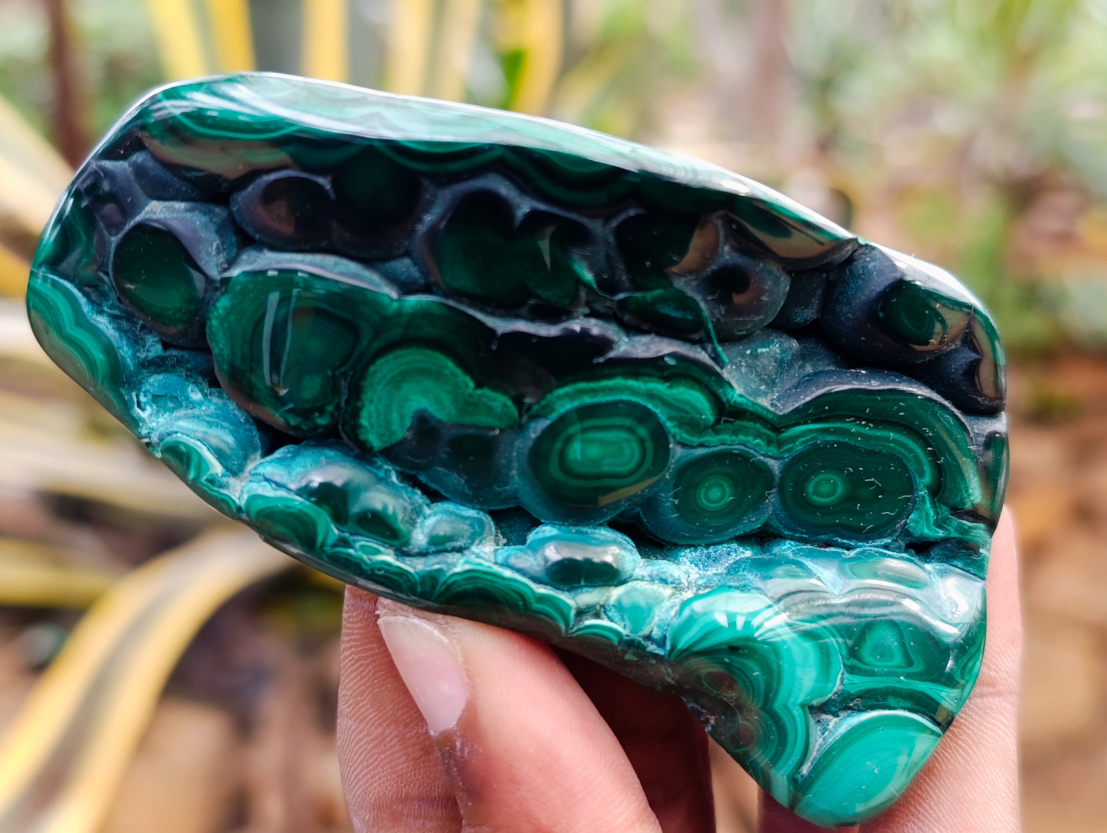 Polished Flower Banded Malachite Free Forms x 6 From Congo - Toprock Gemstones and Minerals 
