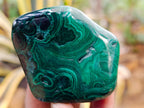 Polished Flower Banded Malachite Free Forms x 6 From Congo - Toprock Gemstones and Minerals 