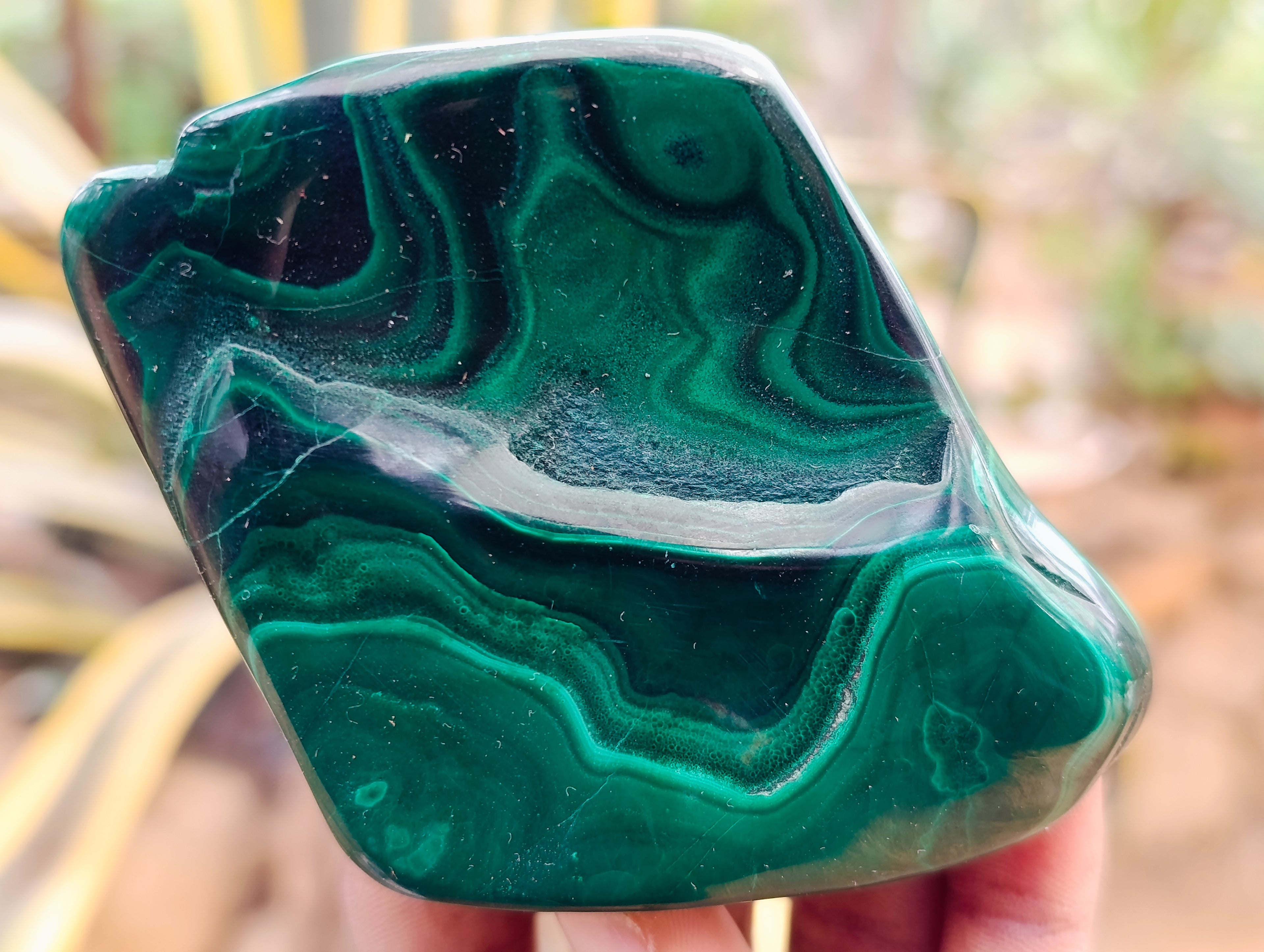 Polished Flower Banded Malachite Free Forms x 6 From Congo - Toprock Gemstones and Minerals 