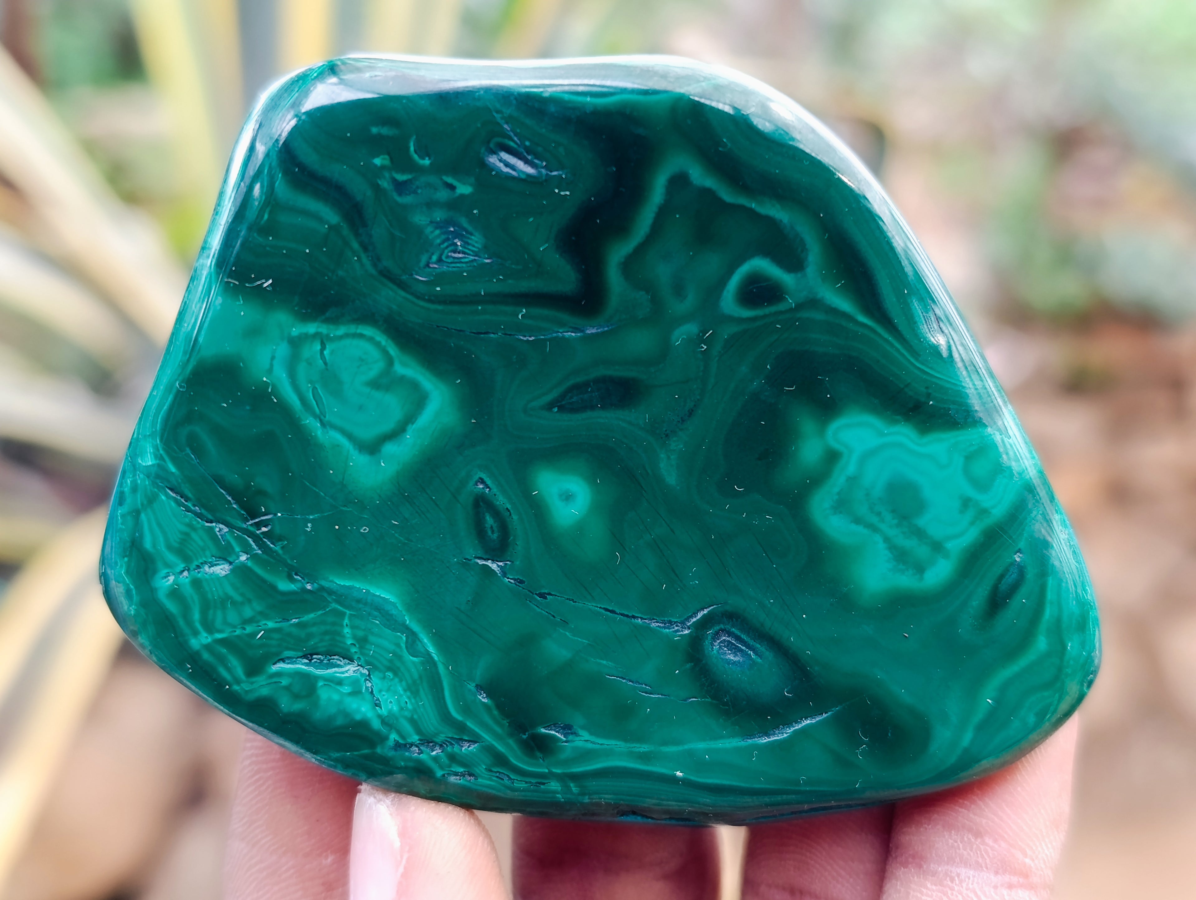 Polished Flower Banded Malachite Free Forms x 6 From Congo - Toprock Gemstones and Minerals 