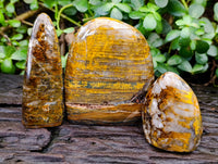 Polished Neolite Standing Free Forms x 3 From Prieska, South Africa