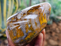 Polished Neolite Standing Free Forms x 3 From Prieska, South Africa
