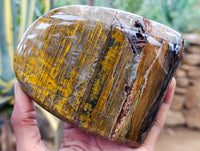 Polished Neolite Standing Free Forms x 3 From Prieska, South Africa