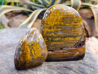 Polished Neolite Standing Free Forms x 3 From Prieska, South Africa