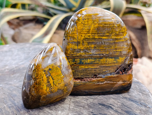 Polished Neolite Standing Free Forms x 3 From Prieska, South Africa