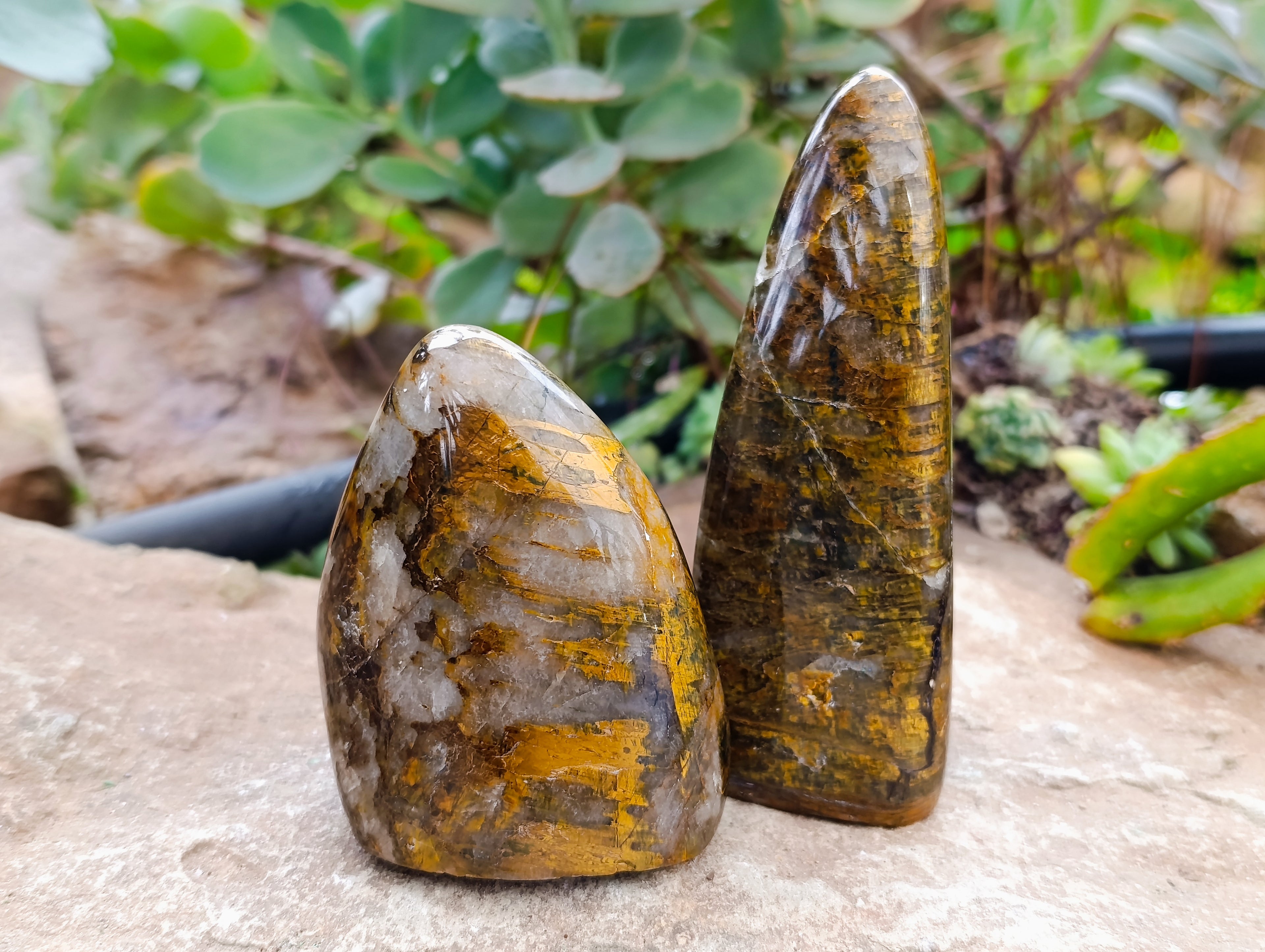 Polished Neolite Standing Free Forms x 3 From Prieska, South Africa - Toprock Gemstones and Minerals 