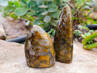 Polished Neolite Standing Free Forms x 3 From Prieska, South Africa