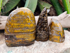Polished Neolite Standing Free Forms x 3 From Prieska, South Africa - Toprock Gemstones and Minerals 