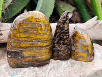 Polished Neolite Standing Free Forms x 3 From Prieska, South Africa