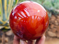 Polished Carnelian Spheres x 2 From Madagascar